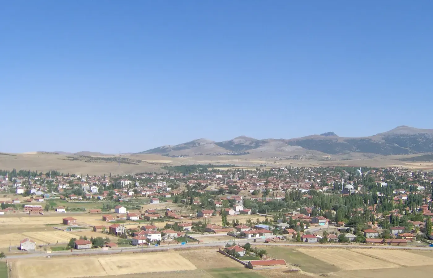 Sarayönü ilçesi tarım ve ticaret